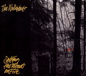 Walkabouts: Setting Woods On Fire (1994)