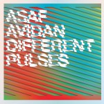 Avidan, Asaf: Different Pulses (2012)
