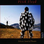 Pink Floyd: Delicate Sound Of Thunder (1988)