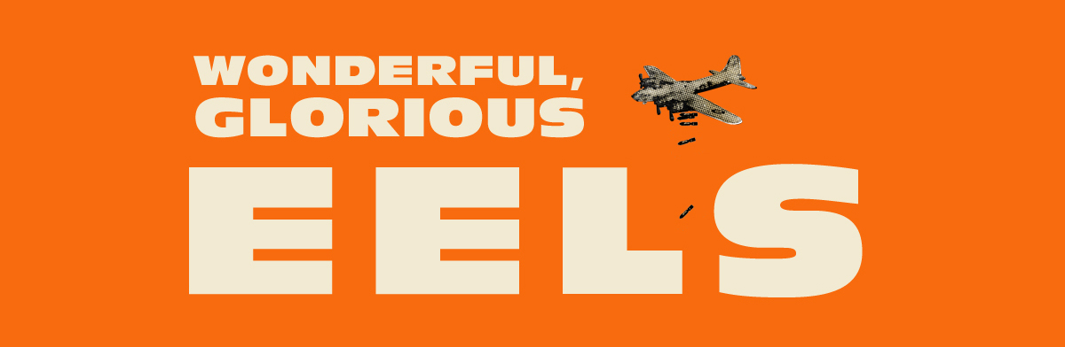 Eels: Wonderful, Glorious - Header