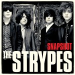 Strypes: Snapshot (2013)