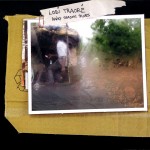 Traoré, Lobi: Rainy Season Blues (2010)