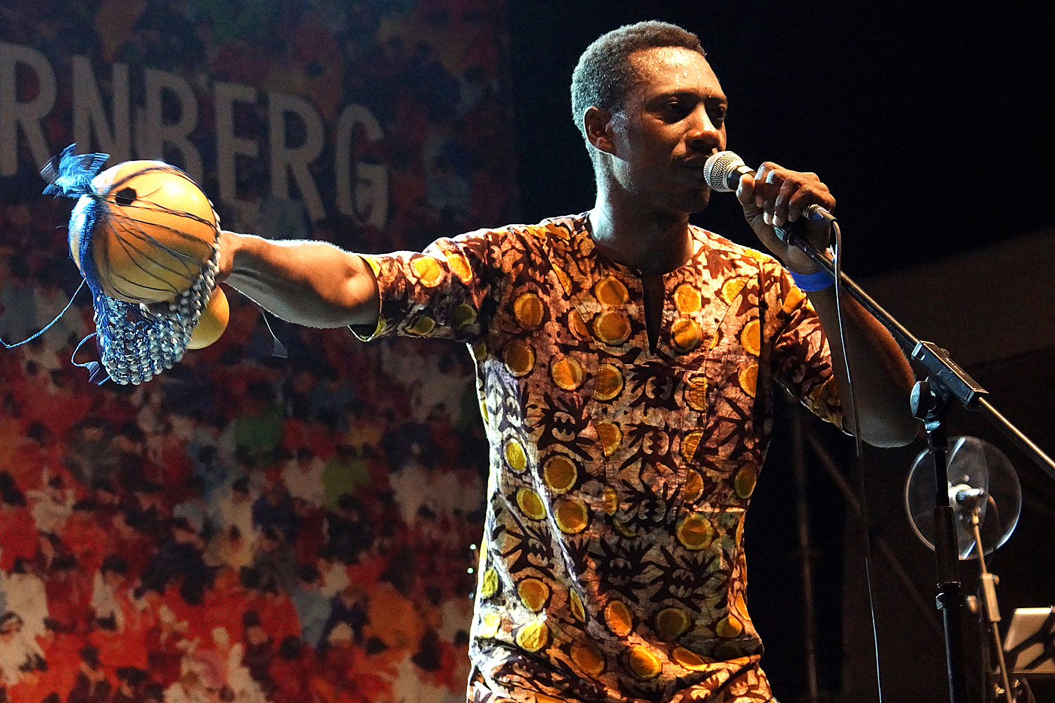 Henry Taylor: Bardentreffen 2014