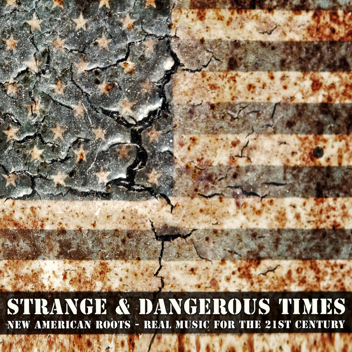 Diverse: Strange & Dangerous Times: New American Roots - Real Music for the 21st Century