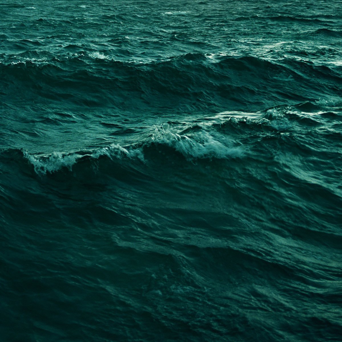 Leonie singt: Leonie singt (2015)