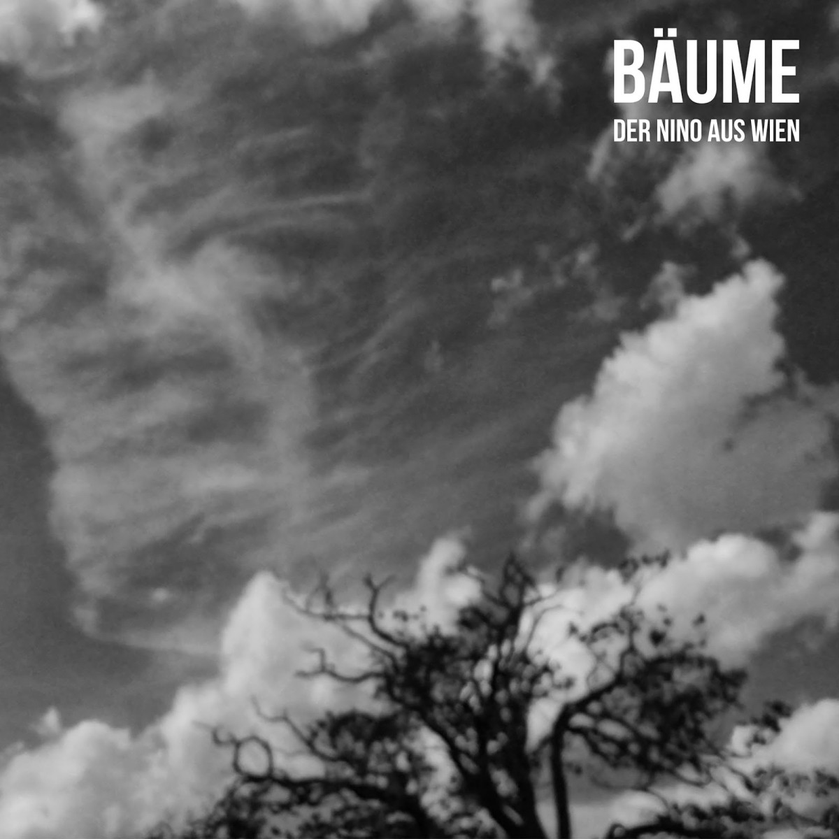 Nino aus Wien: Bäume (2014)