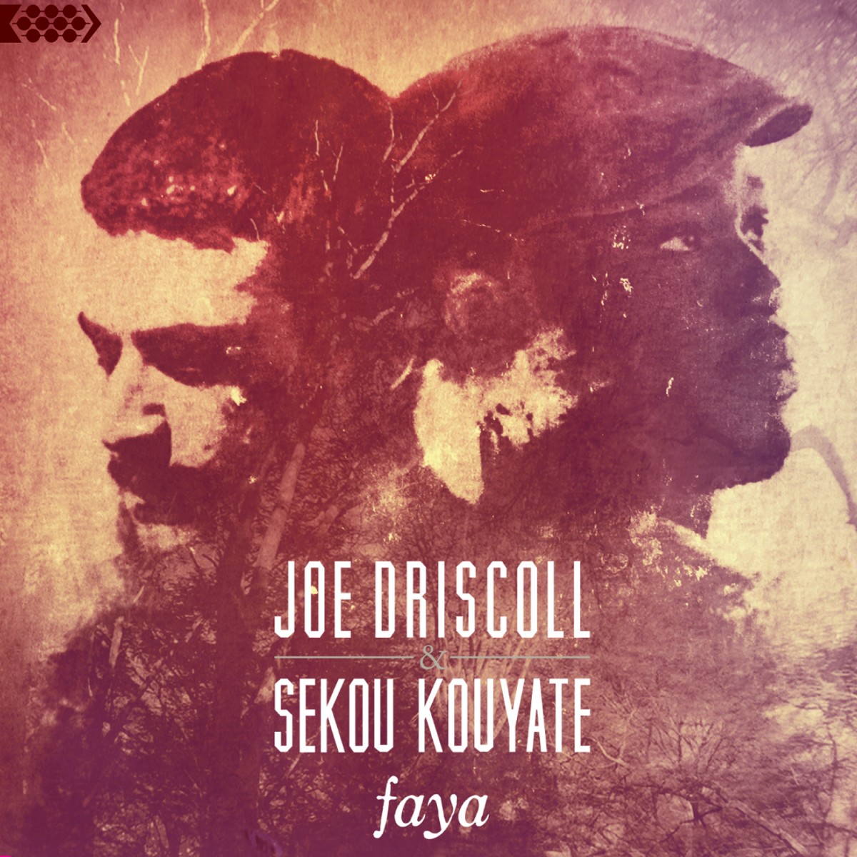 Driscoll, Joe & Kouyate, Sekou: Faya (2013)