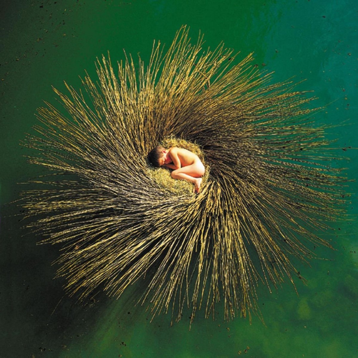 Gabriel, Peter: OVO (2000)