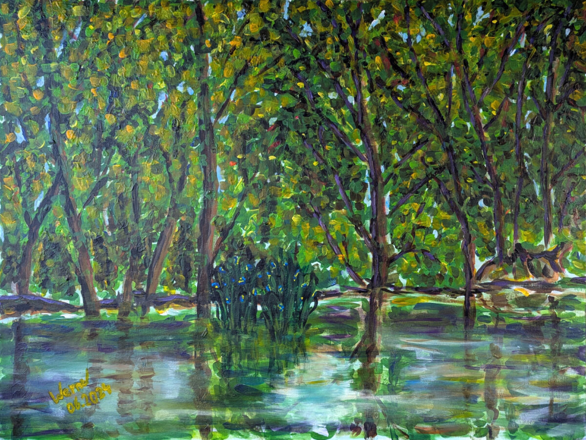 Werner Gensmantel: Stadtparkweiher Fürth (2024)