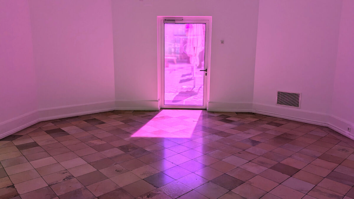 Zora Kreuzer: True color (2026)